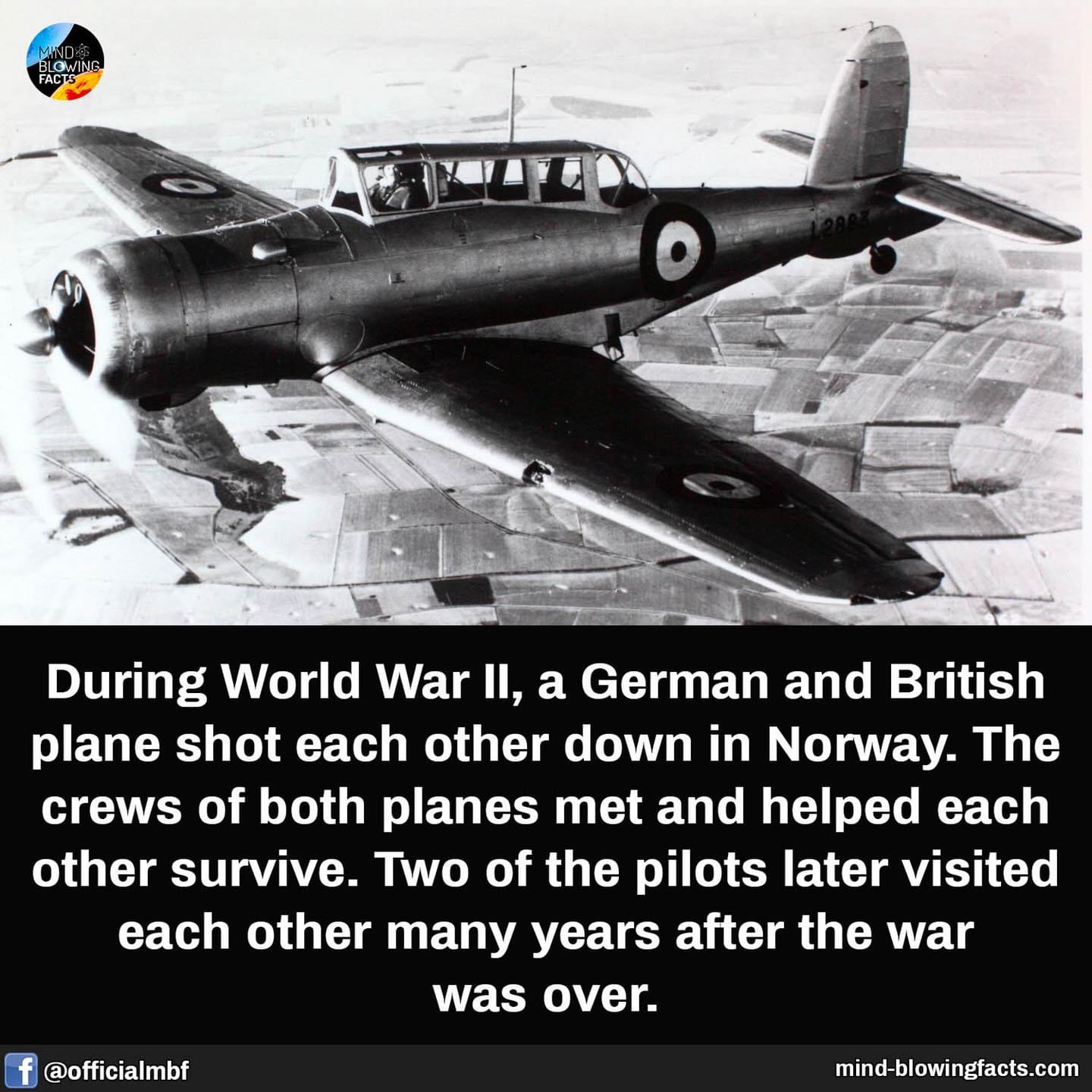 1638362571623.png