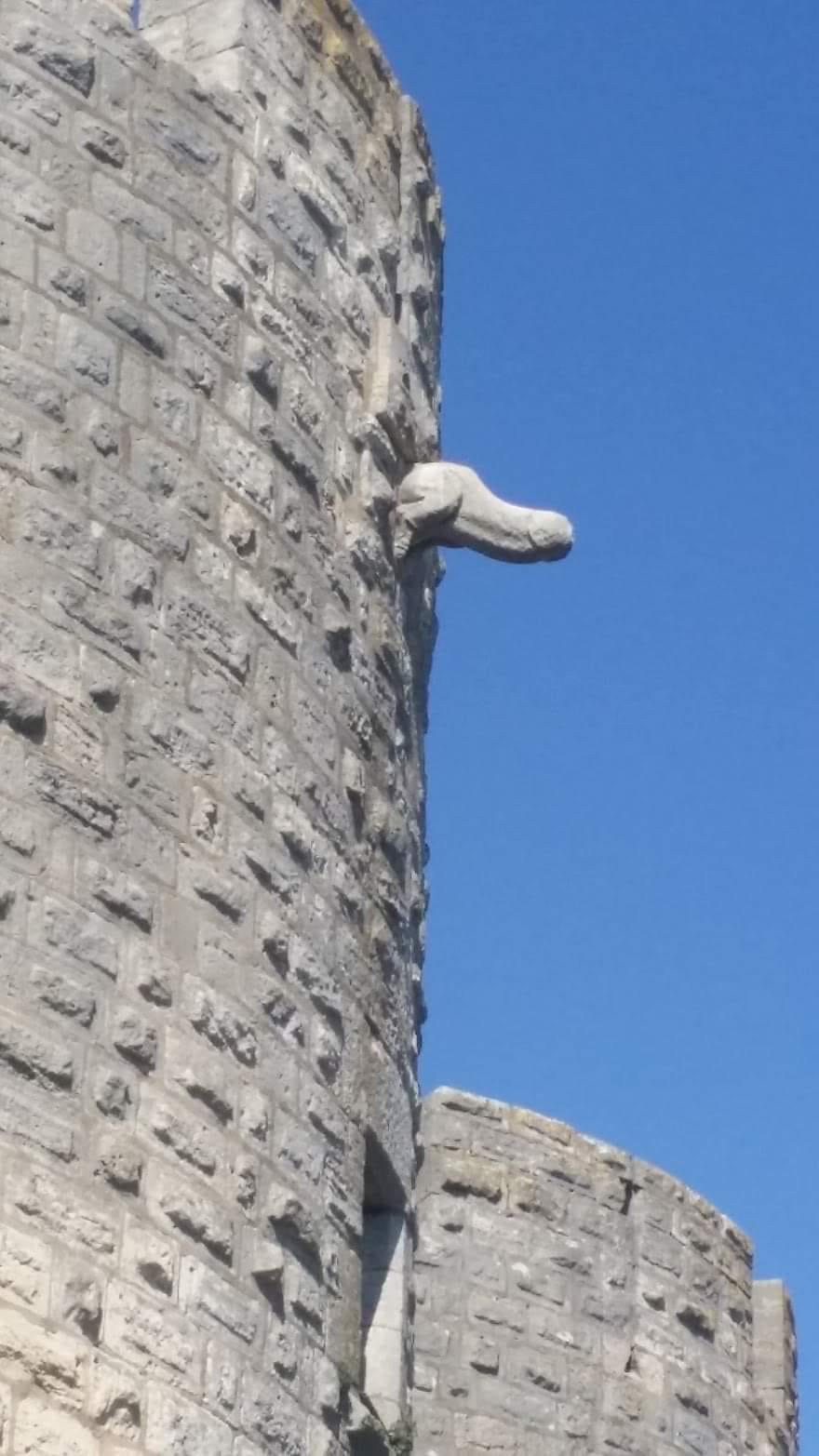 1638376046440.png