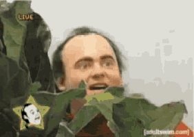 1639163957798.gif