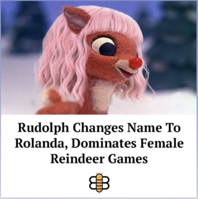 1639503490455.png