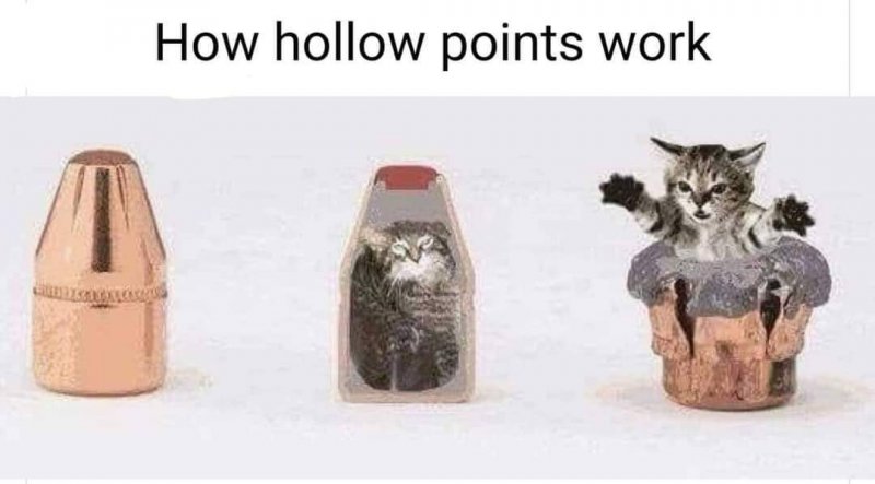 1639678307117.jpeg