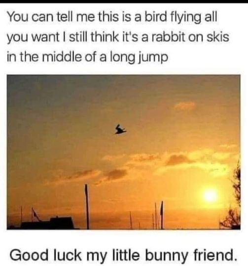 1640228653924.png