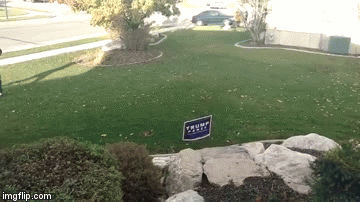 1640406636122.gif