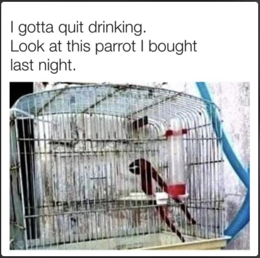 1640971970397.png