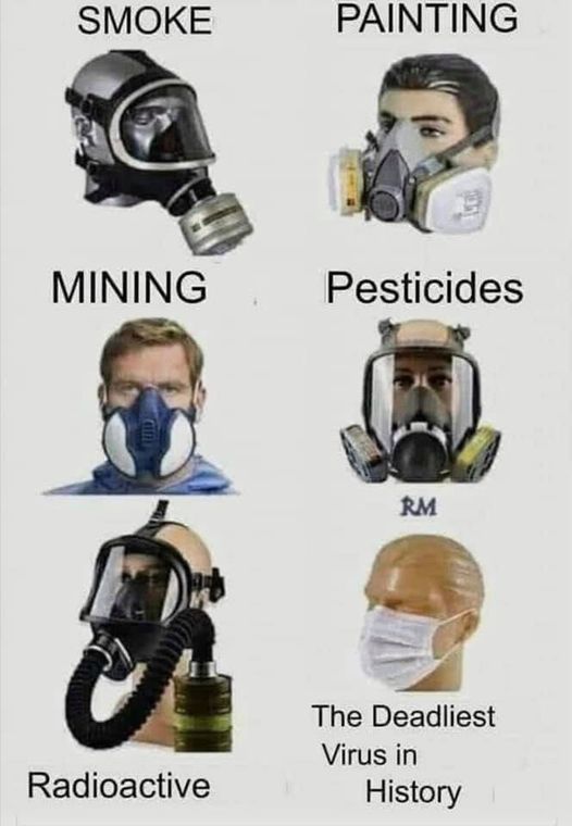 1641501691514.jpeg
