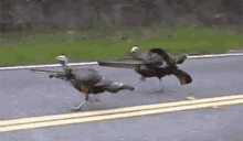 1641532668343.gif