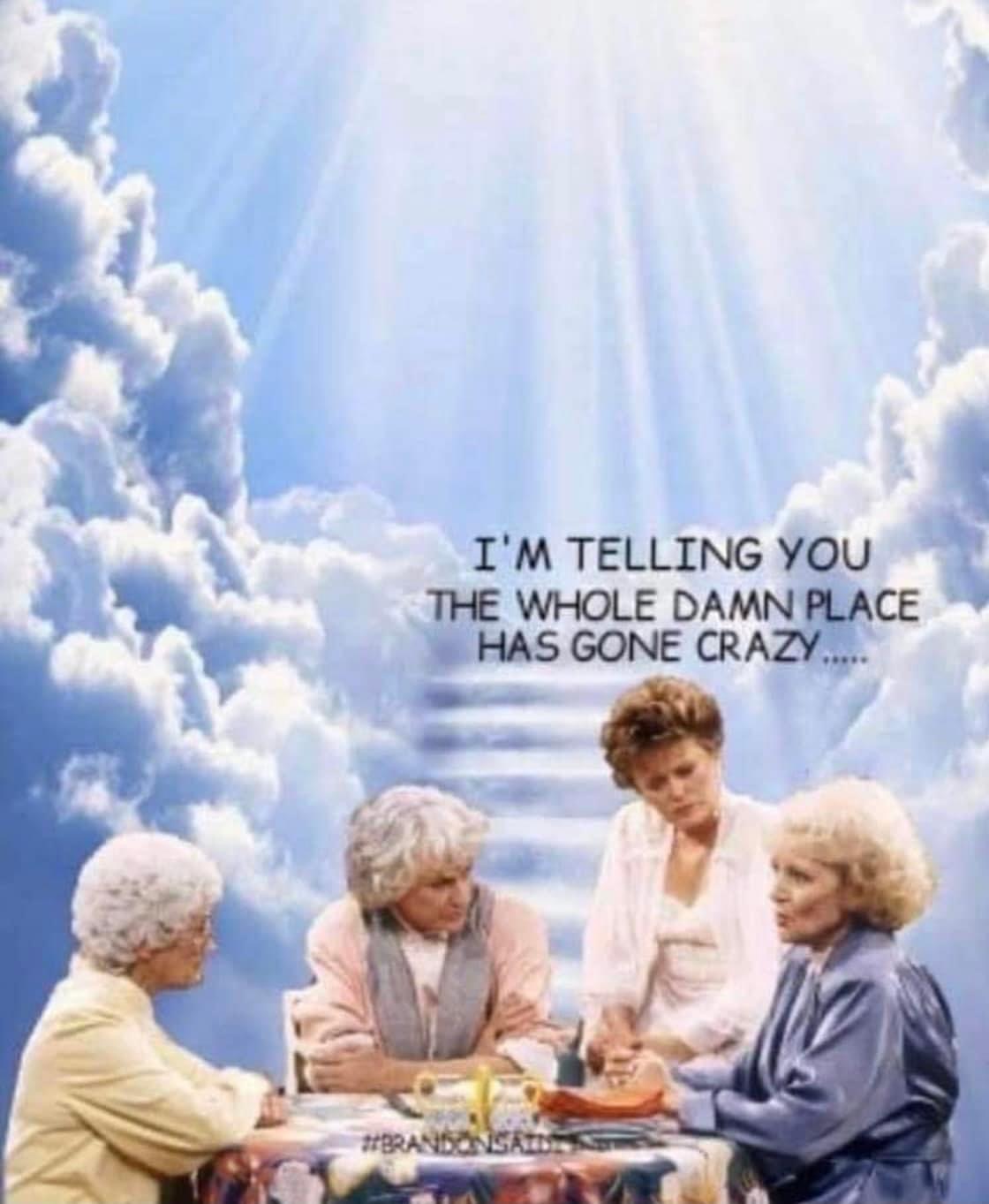 1641659663149.jpeg