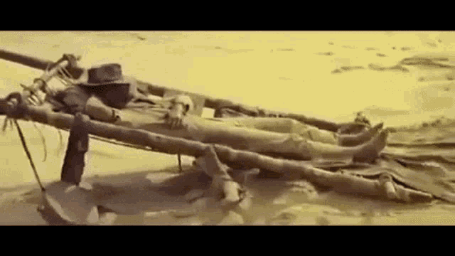 1641774138808.gif