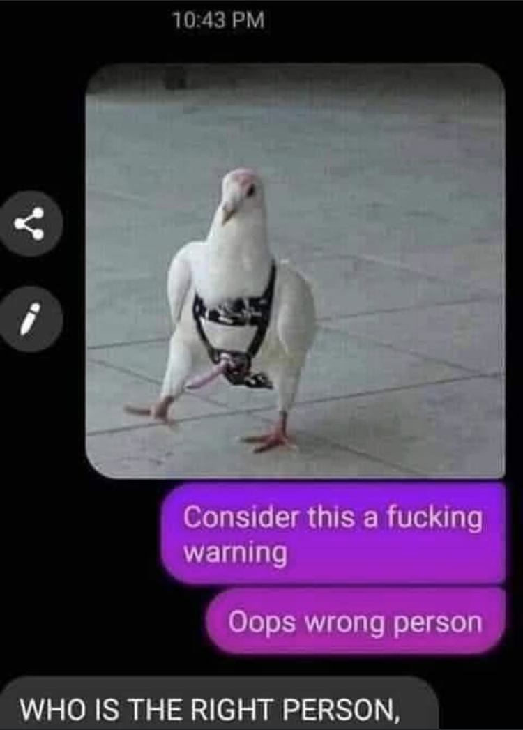 1642609082947.png