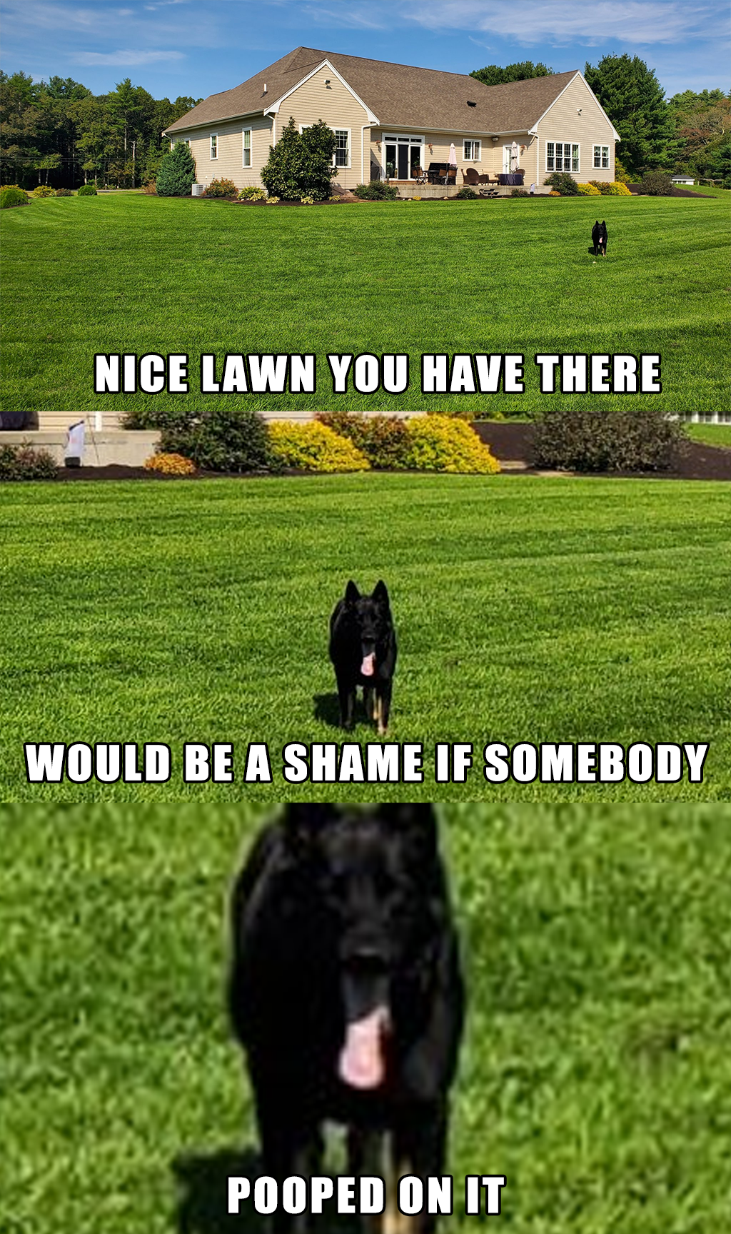 1642866656671.png