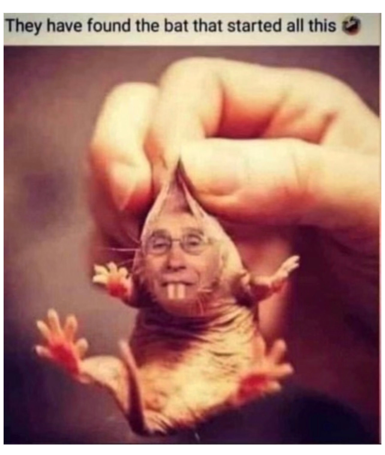 1642945626809.jpeg