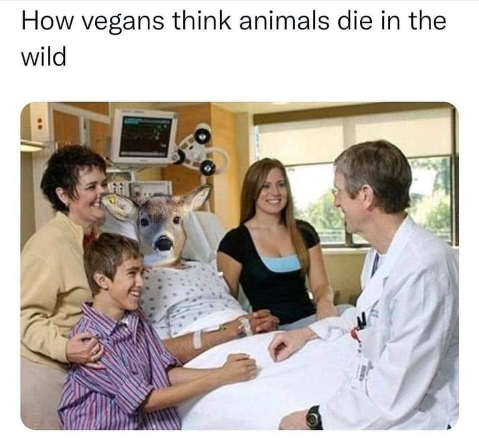 1643044101952.png