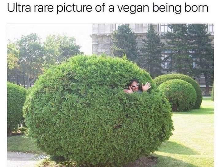 1643223545598.png