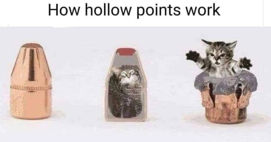 1645078195402.jpeg