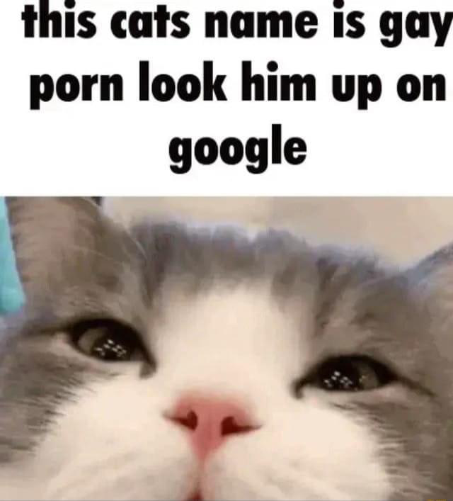 1645318601071.png