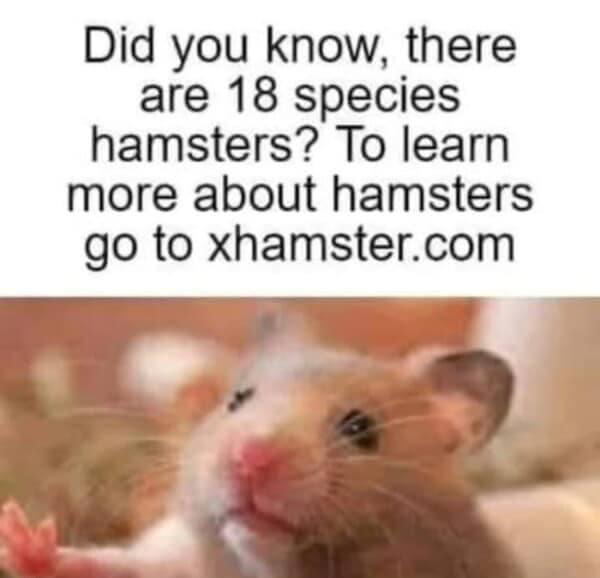 1645974107890.png