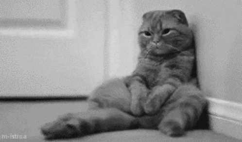 1646549817161.gif