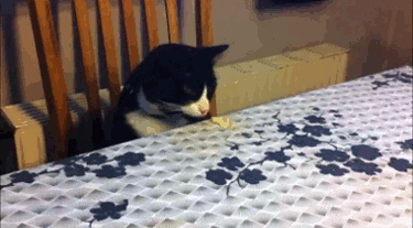 1646943613718.gif