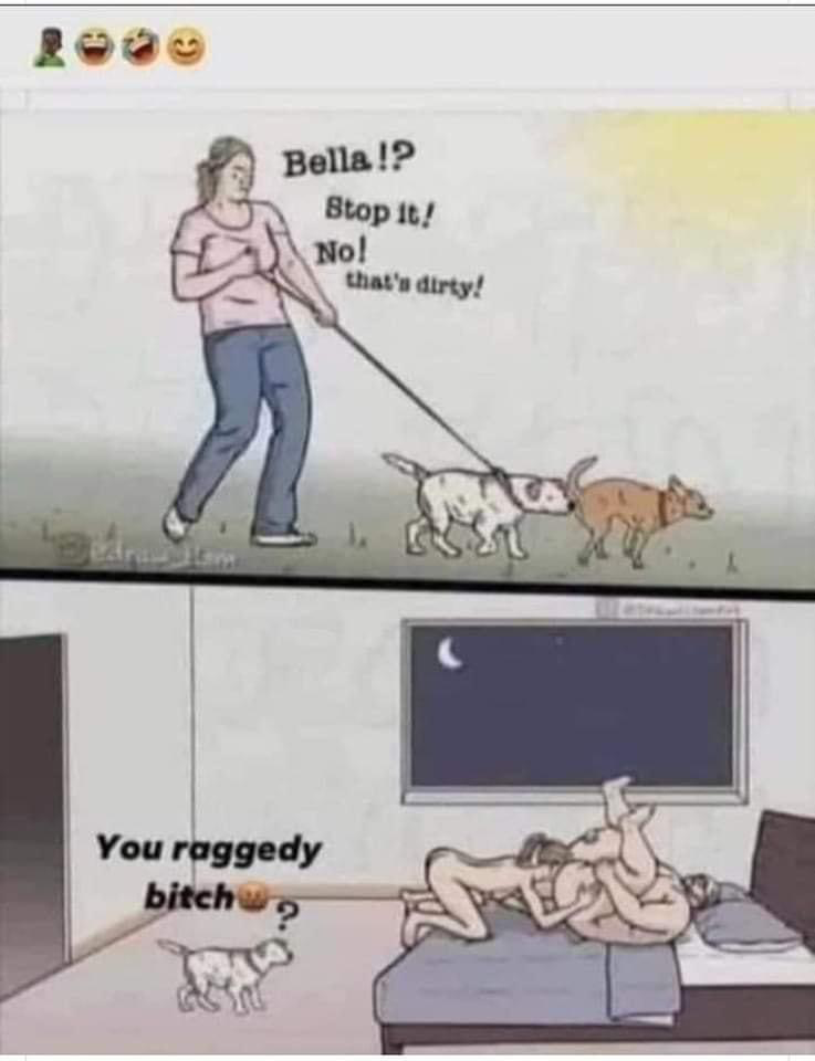 1647222320528.png