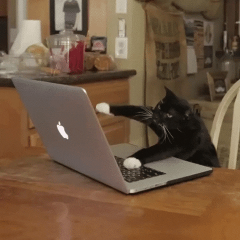 1649012662112.gif