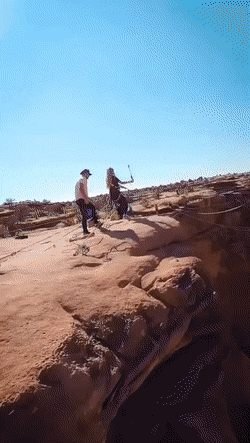 1649462276969.gif