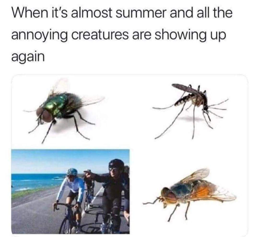 1649984865689.png