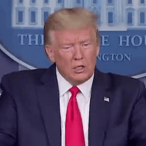 1650198968097.gif