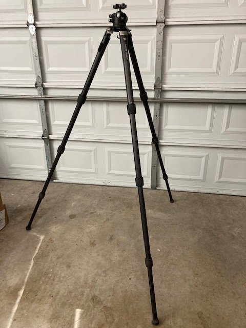 1650491608298.jpeg