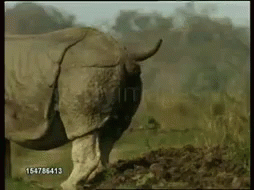 1651108788808.gif