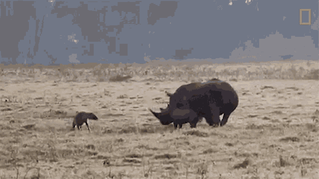 1651512506734.gif