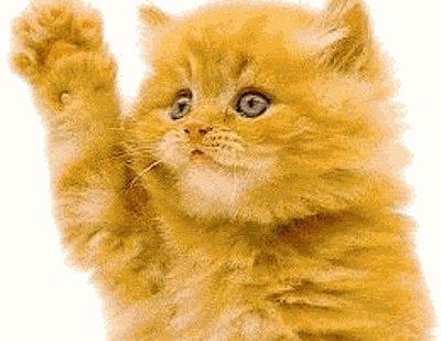 1651940859419.gif