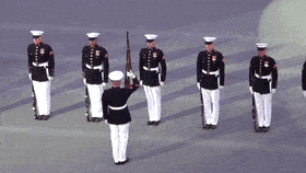 1652034997975.gif
