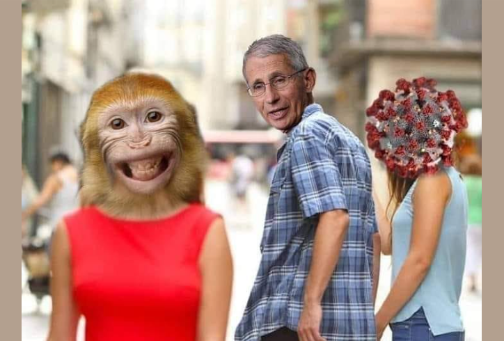 1653414304251.png