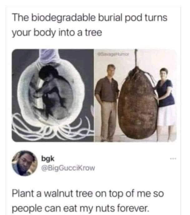 1654028513599.png