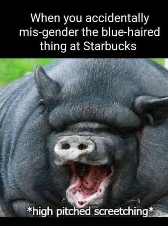 1655165906242.png
