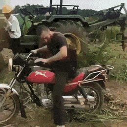 1655322199_8.gif