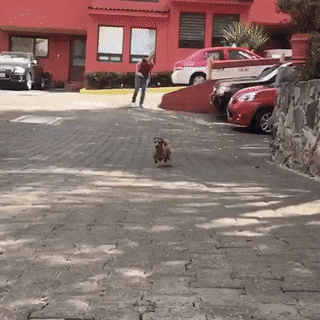 1655756384_9.gif