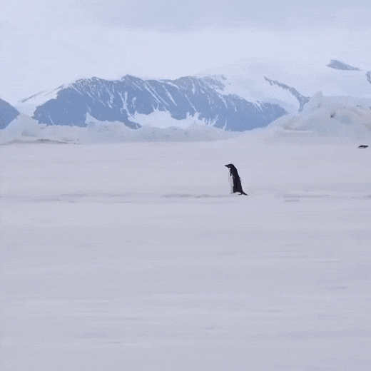 1655842835_10.gif