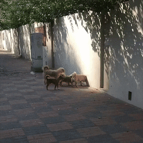 1655842885_11.gif