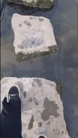 1655842885_17.gif