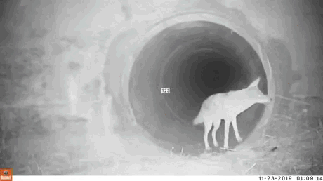 1655842918_9.gif
