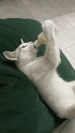 1655930284_7.gif