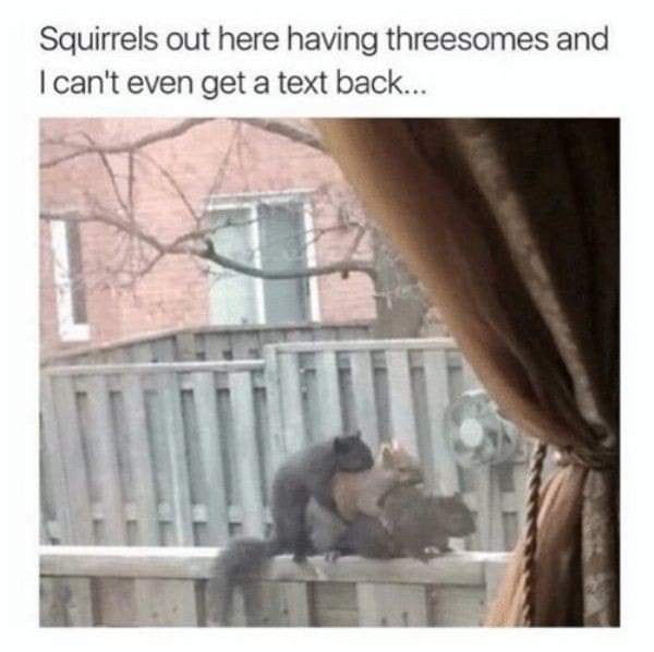 1656098758857.jpeg
