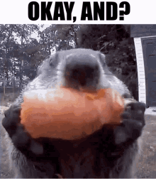 1656392505938.gif