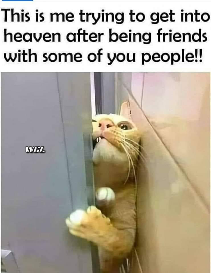 1656708853841.png