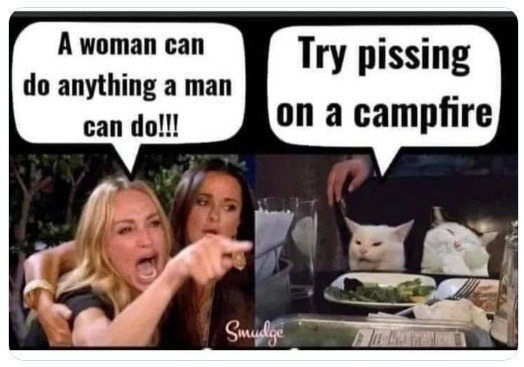 1657161402322.png