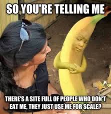 1657229392577.jpeg