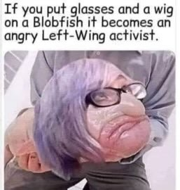 1657247081585.png