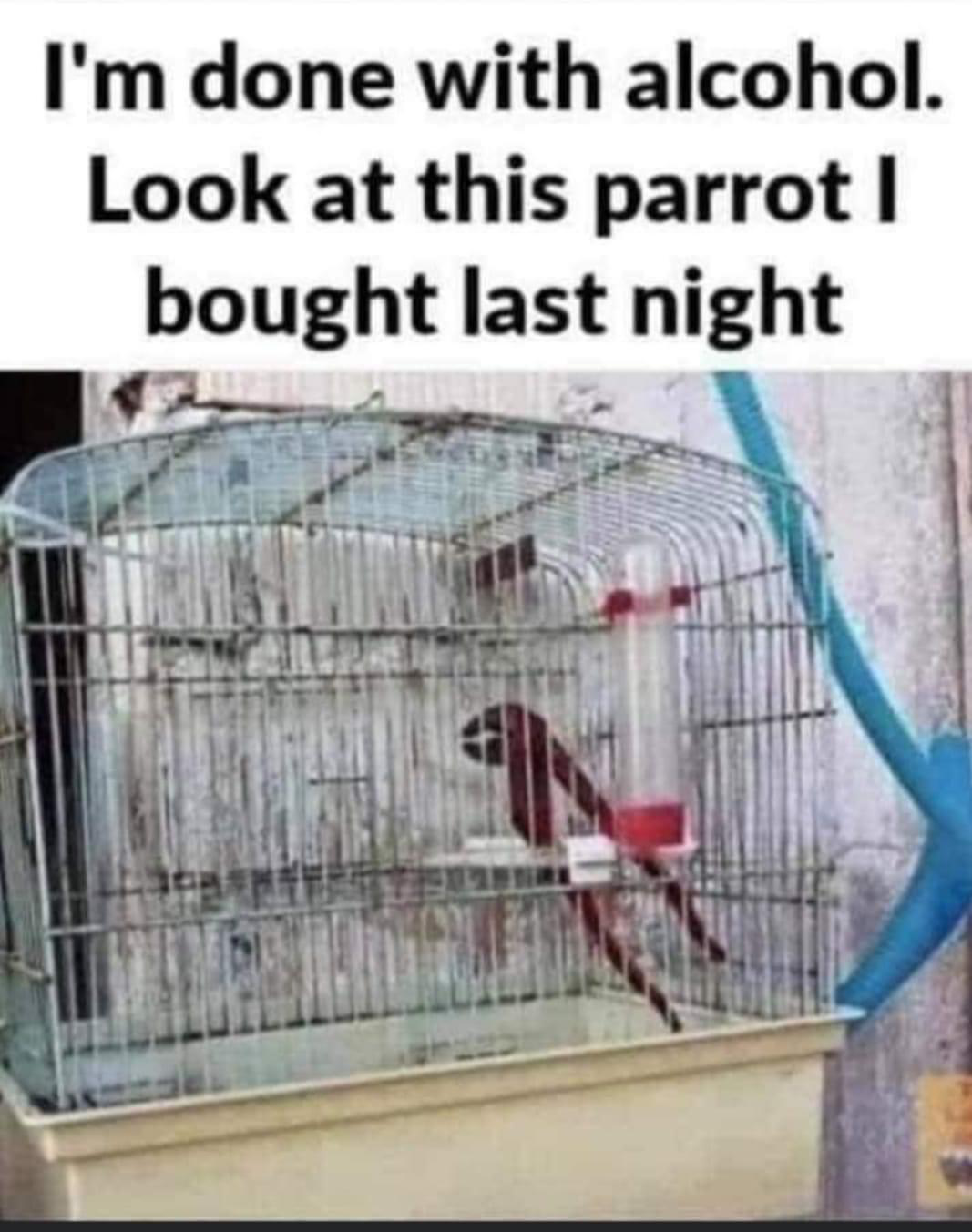 1657408418740.png