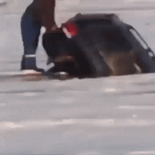 1657432616_3.gif
